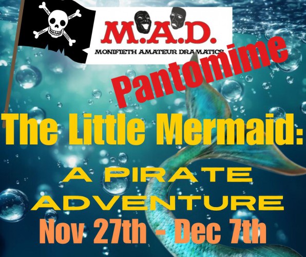 The Little Mermaid: A Pirate Adventure!